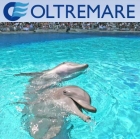 Oltremare - Casa Baroncini